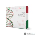 EXOITALIA exosomes 4×5 ml
